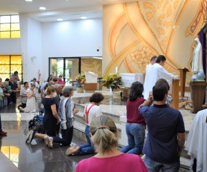 Ato de Consagração da humanidade ao Imaculado Coração de Maria   