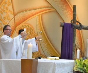 Ato de Consagração da humanidade ao Imaculado Coração de Maria   