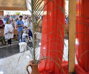 Celebração do Domingo de Ramos