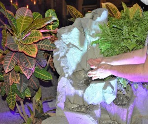 Celebração da Misericórdia