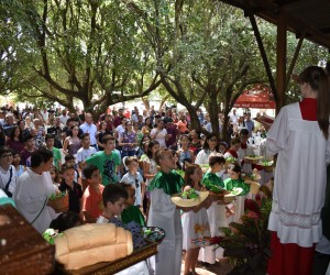 Agosto: mês das vocações e de eventos notáveis
