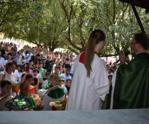 Agosto: mês das vocações e de eventos notáveis