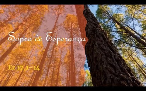 Sopro de Esperança