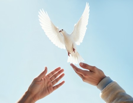 Leão XIV: perseveremos em invocar o dom da paz para o mundo inteiro